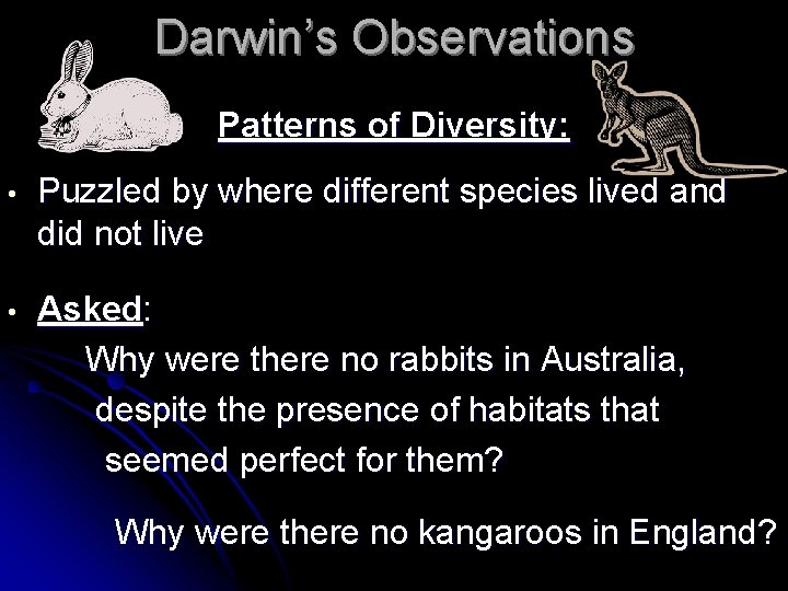 Darwin’s Observations Patterns of Diversity: • Puzzled by where different species lived and did