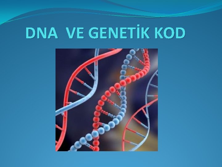 DNA VE GENETİK KOD 