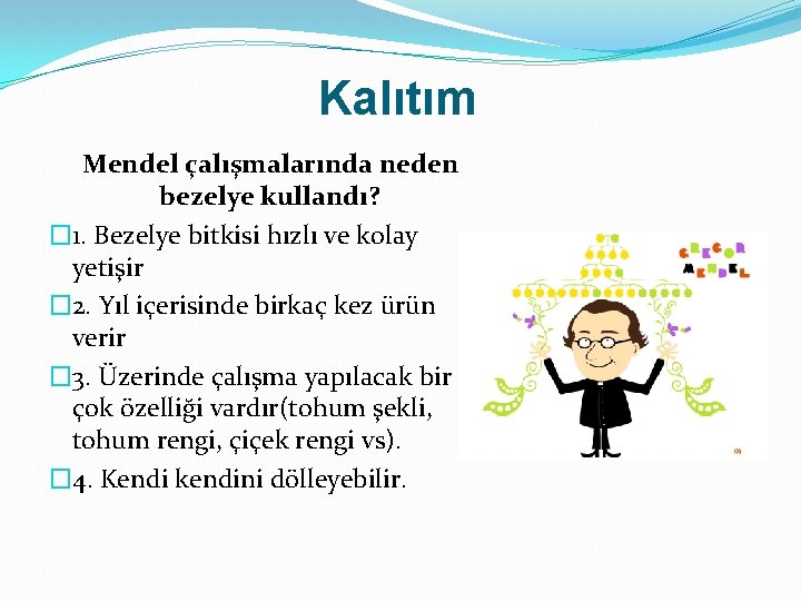 Kalıtım Mendel çalışmalarında neden bezelye kullandı? � 1. Bezelye bitkisi hızlı ve kolay yetişir