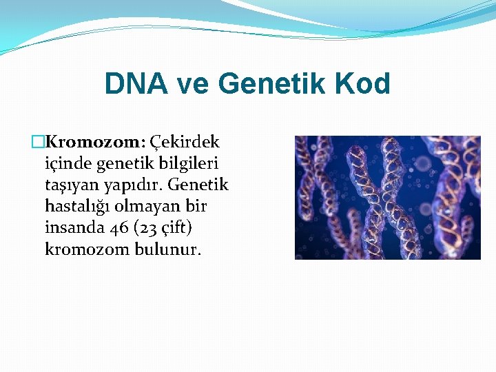 DNA ve Genetik Kod �Kromozom: Çekirdek içinde genetik bilgileri taşıyan yapıdır. Genetik hastalığı olmayan