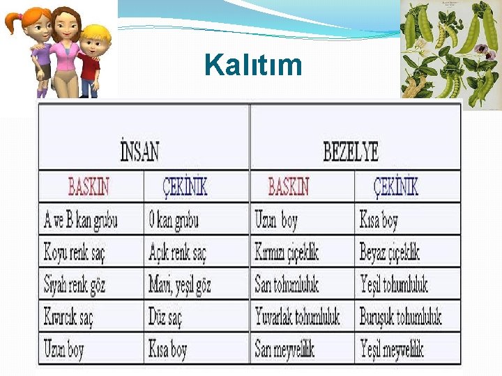 Kalıtım 