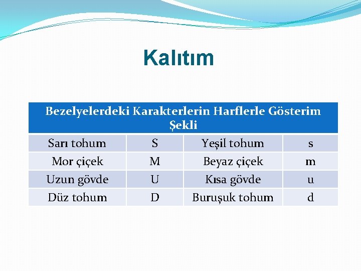 Kalıtım Bezelyelerdeki Karakterlerin Harflerle Gösterim Şekli Sarı tohum Mor çiçek Uzun gövde Düz tohum