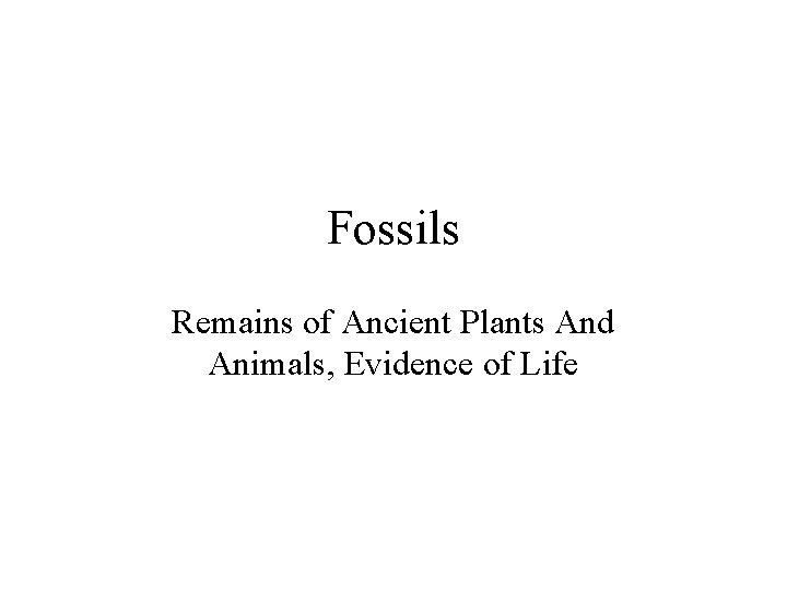 Fossils Remains of Ancient Plants And Animals, Evidence of Life 