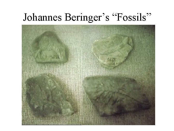 Johannes Beringer’s “Fossils” 