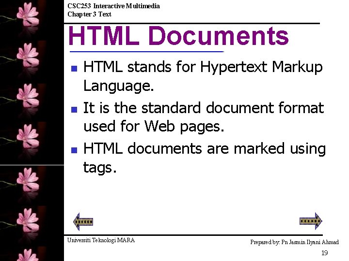 CSC 253 Interactive Multimedia Chapter 3 Text INTERACTIVE