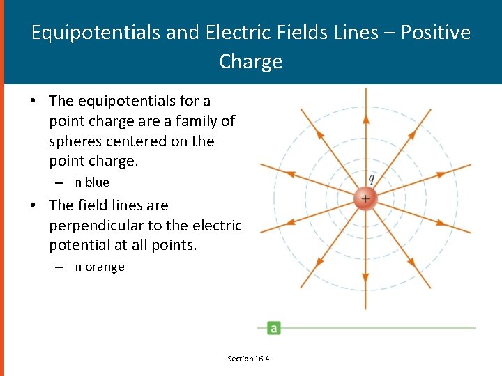 Equipotentials and Electric Fields Lines – Positive Charge • The equipotentials for a point