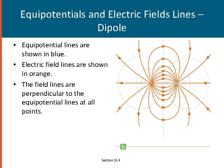 Equipotentials and Electric Fields Lines – Dipole • Equipotential lines are shown in blue.