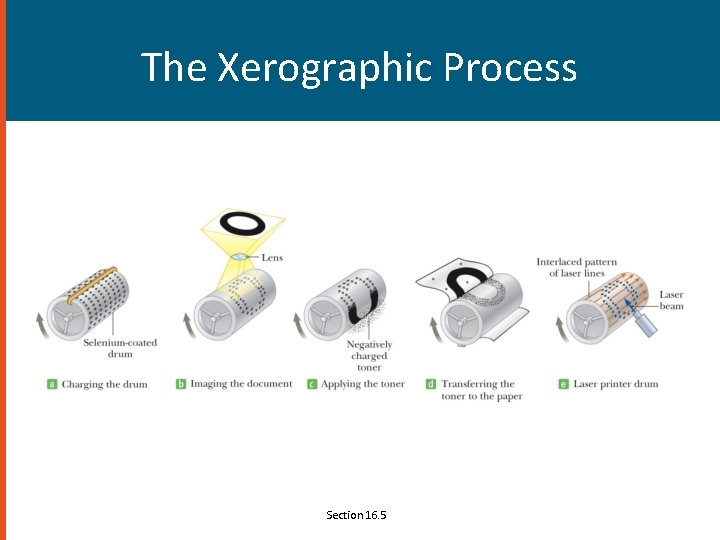 The Xerographic Process Section 16. 5 