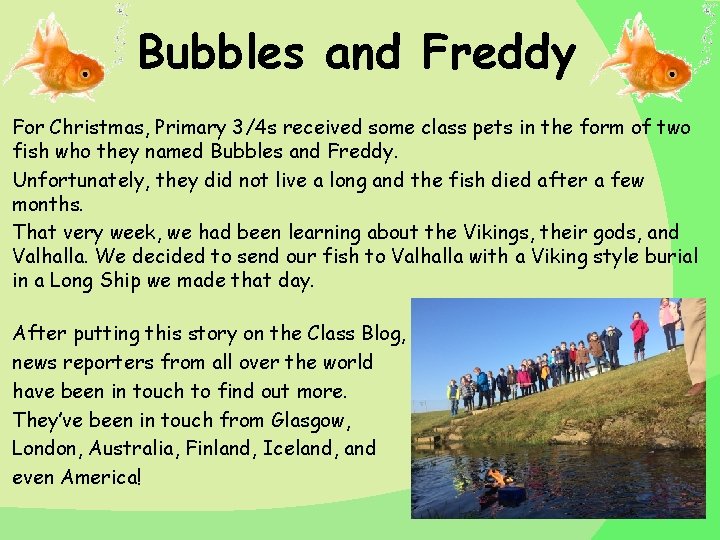 Bubbles and Freddy For Christmas, Primary 3/4 s received some class pets in the