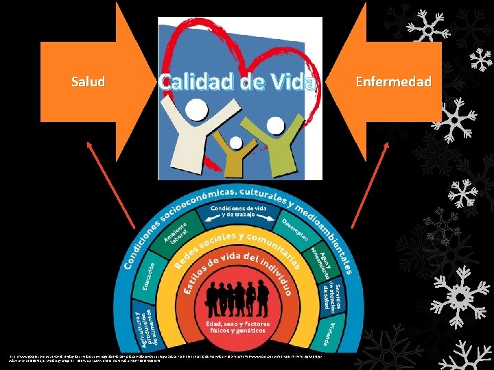 Salud Calidad de Vida https: //www. google. com. co/url? sa=i&rct=j&q=&esrc=s&source=images&cd=&cad=rja&uact=8&ved=0 ah. UKEwjwspa. Goer. PAh.