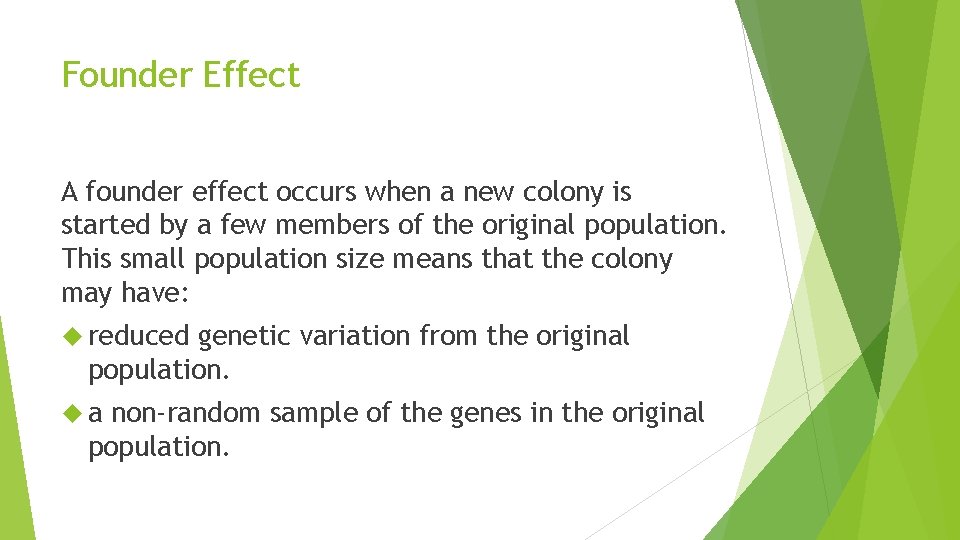 Founder Effect A founder effect occurs when a new colony is started by a