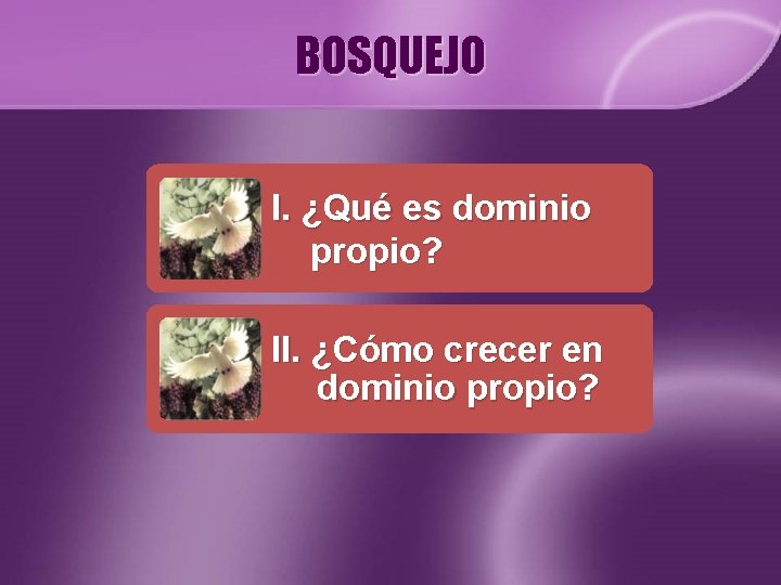 BOSQUEJO I. ¿Qué es dominio propio? II. ¿Cómo crecer en dominio propio? 