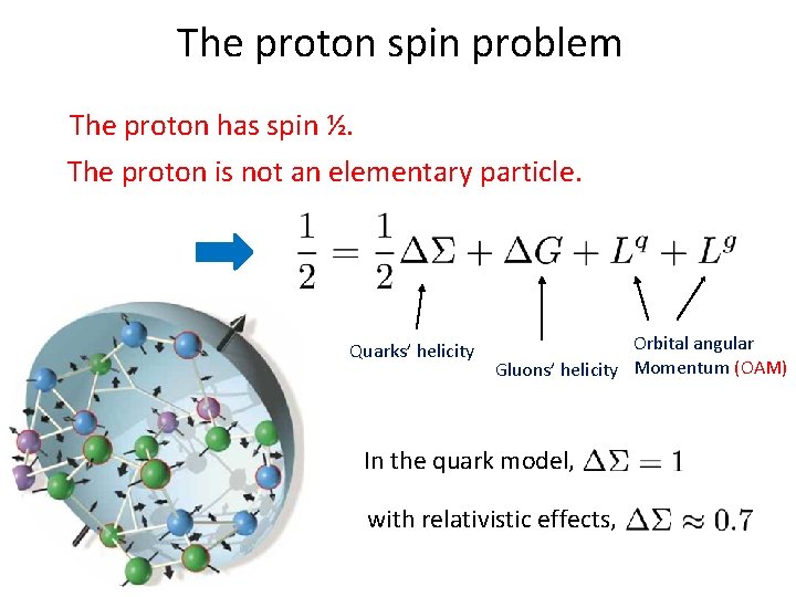 The proton spin problem The proton has spin ½. The proton is not an