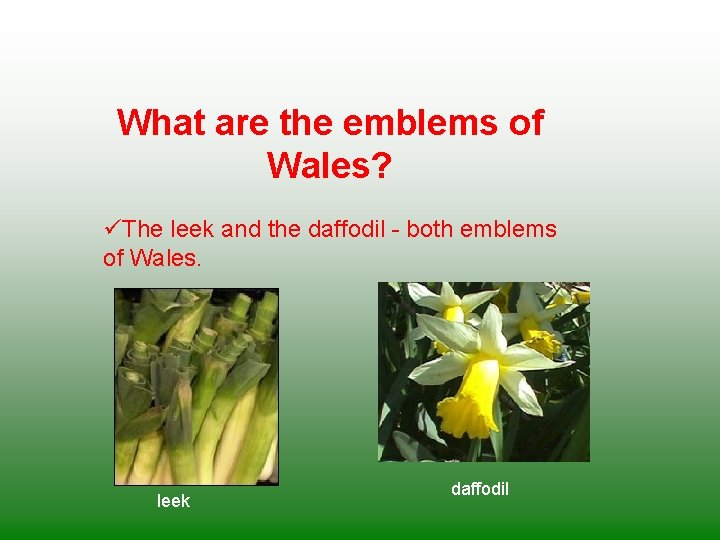 What are the emblems of Wales? üThe leek and the daffodil - both emblems