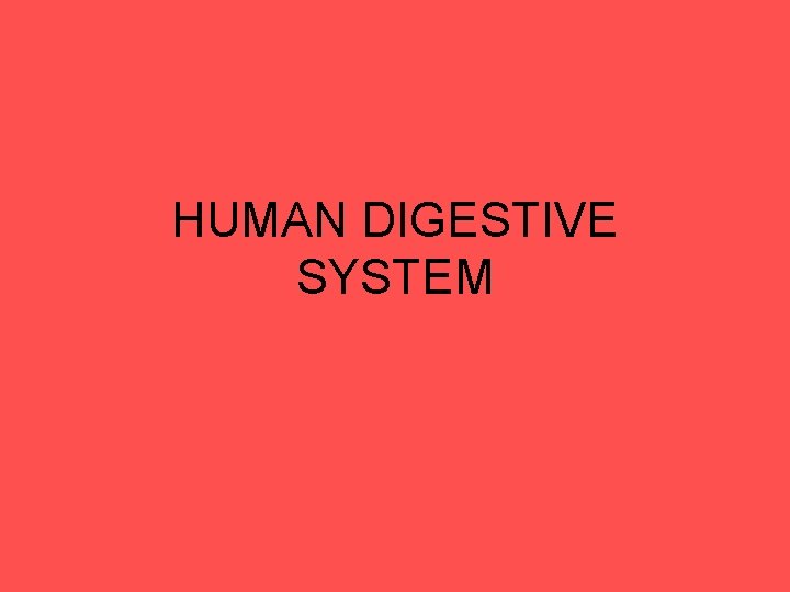 HUMAN DIGESTIVE SYSTEM HUMAN DIGESTIVE SYSTEM