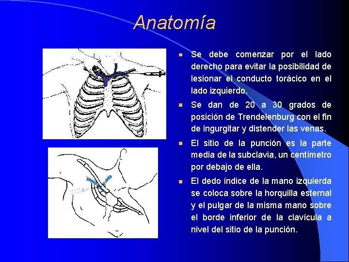 Anatomía Se debe comenzar por el lado derecho para evitar la posibilidad de lesionar Anatomía Se debe comenzar por el lado derecho para evitar la posibilidad de lesionar