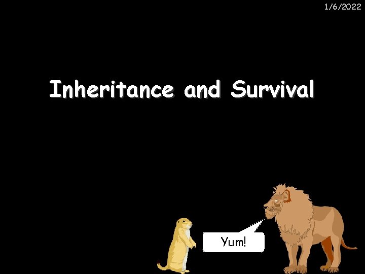 1/6/2022 Inheritance and Survival Yum! 