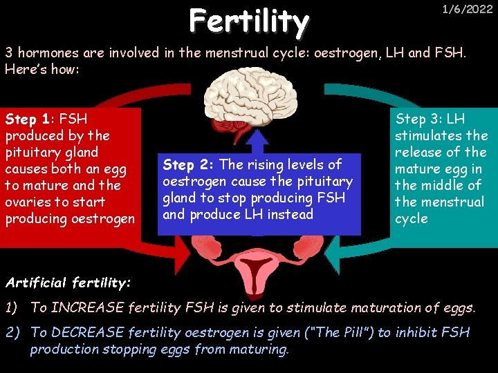 Fertility 1/6/2022 3 hormones are involved in the menstrual cycle: oestrogen, LH and FSH.