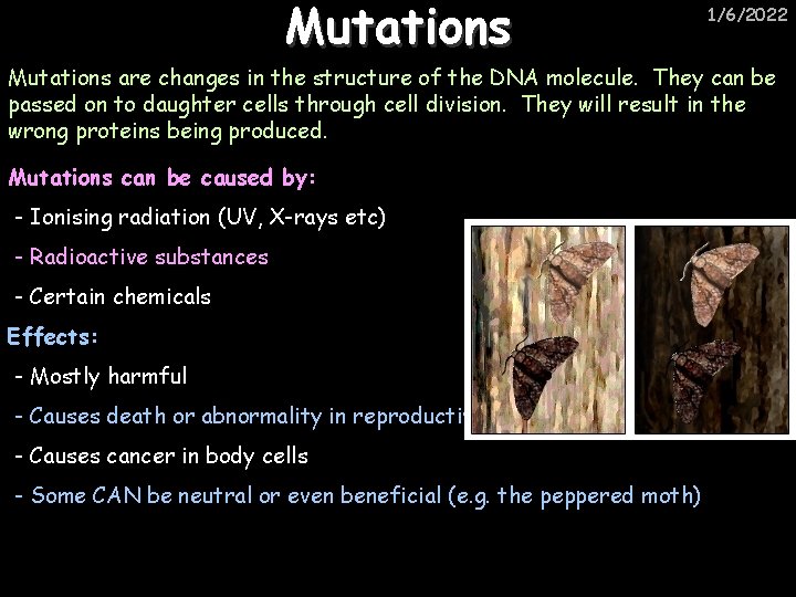 Mutations 1/6/2022 Mutations are changes in the structure of the DNA molecule. They can