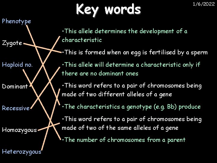 Phenotype Zygote Key words 1/6/2022 • This allele determines the development of a characteristic