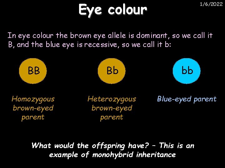 Eye colour 1/6/2022 In eye colour the brown eye allele is dominant, so we