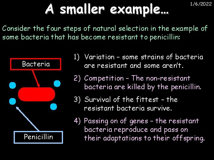 A smaller example… 1/6/2022 Consider the four steps of natural selection in the example