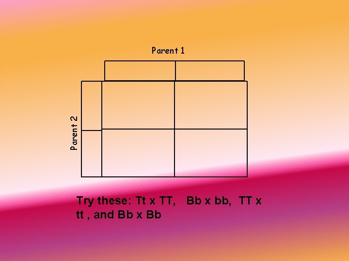 Parent 2 Parent 1 Try these: Tt x TT, Bb x bb, TT x