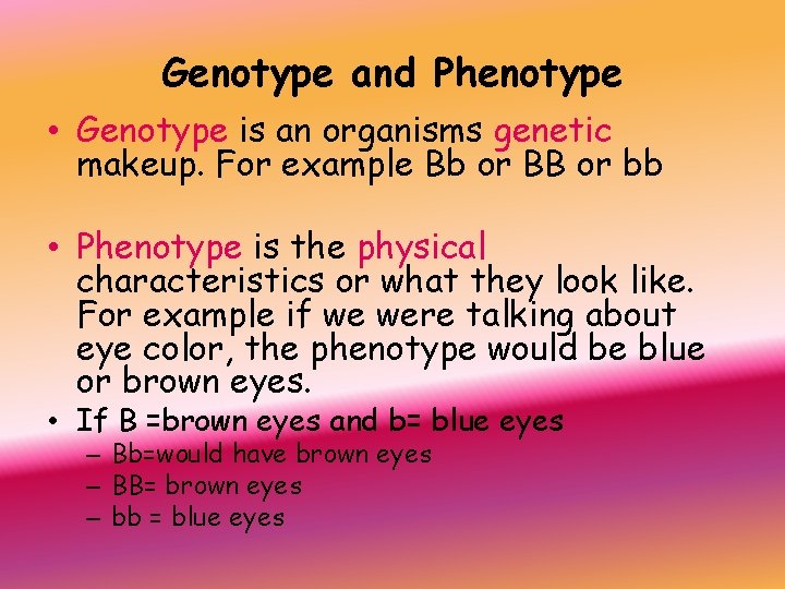 Genotype and Phenotype • Genotype is an organisms genetic makeup. For example Bb or