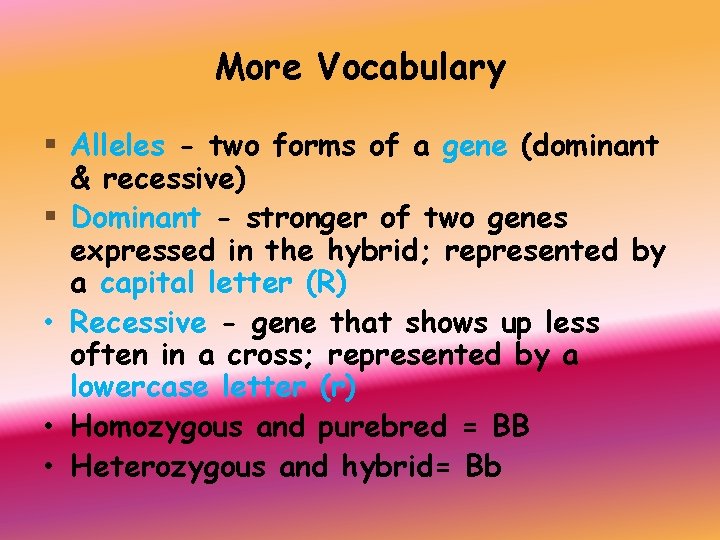 More Vocabulary § Alleles - two forms of a gene (dominant & recessive) §