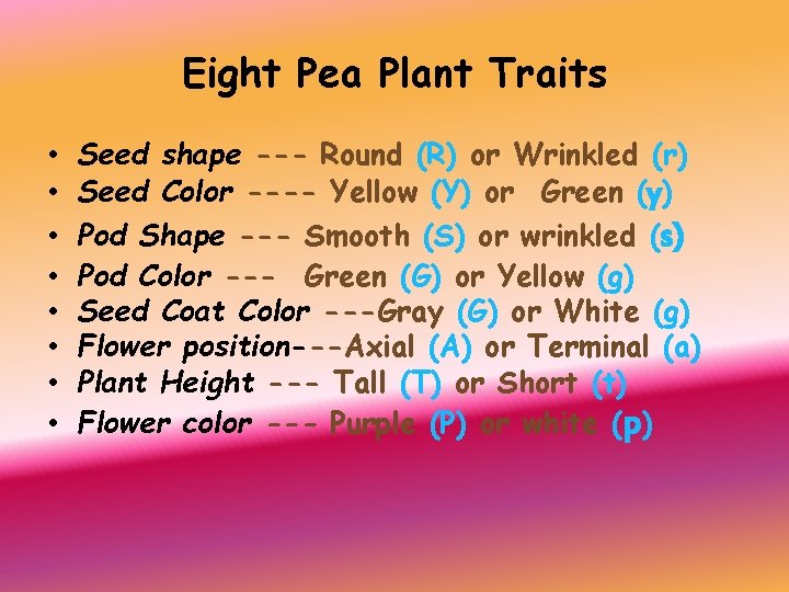 Eight Pea Plant Traits • • Seed shape --- Round (R) or Wrinkled (r)