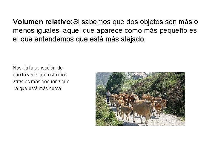 Volumen relativo: Si sabemos que dos objetos son más o menos iguales, aquel que