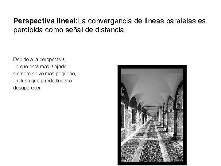 Perspectiva lineal: La convergencia de líneas paralelas es percibida como señal de distancia. Debido