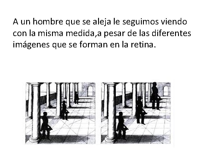A un hombre que se aleja le seguimos viendo con la misma medida, a
