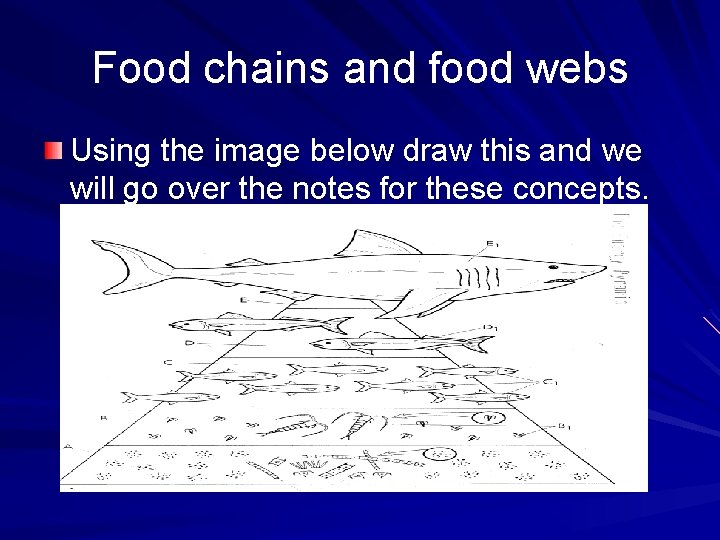 Food chains and food webs Using the image below draw this and we will