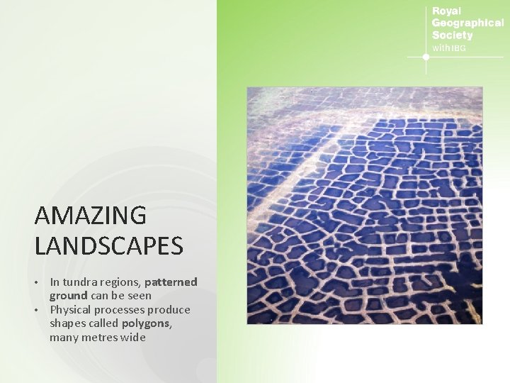 AMAZING LANDSCAPES In tundra regions, patterned ground can be seen • Physical processes produce
