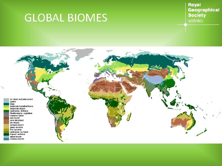 GLOBAL BIOMES 