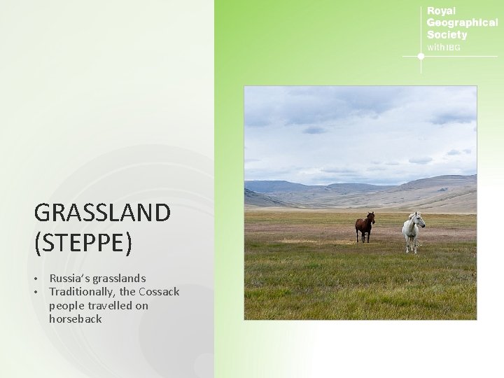 GRASSLAND (STEPPE) • • Russia’s grasslands Traditionally, the Cossack people travelled on horseback 
