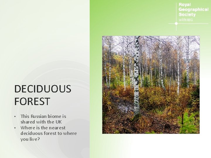 DECIDUOUS FOREST This Russian biome is shared with the UK • Where is the