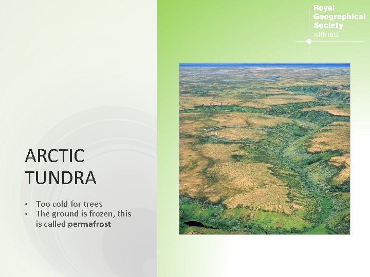 ARCTIC TUNDRA • • Too cold for trees The ground is frozen, this is