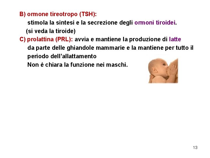 B) ormone tireotropo (TSH): stimola la sintesi e la secrezione degli ormoni tiroidei. (si