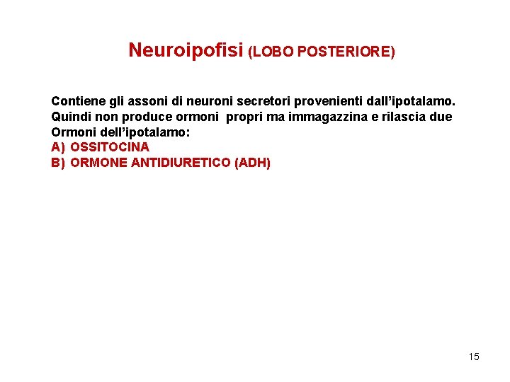 Neuroipofisi (LOBO POSTERIORE) Contiene gli assoni di neuroni secretori provenienti dall’ipotalamo. Quindi non produce