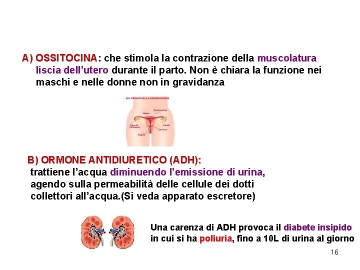 A) OSSITOCINA: che stimola la contrazione della muscolatura liscia dell’utero durante il parto. Non