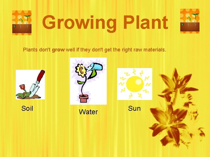 Growing Plants don't grow well if they don't get the right raw materials. Soil