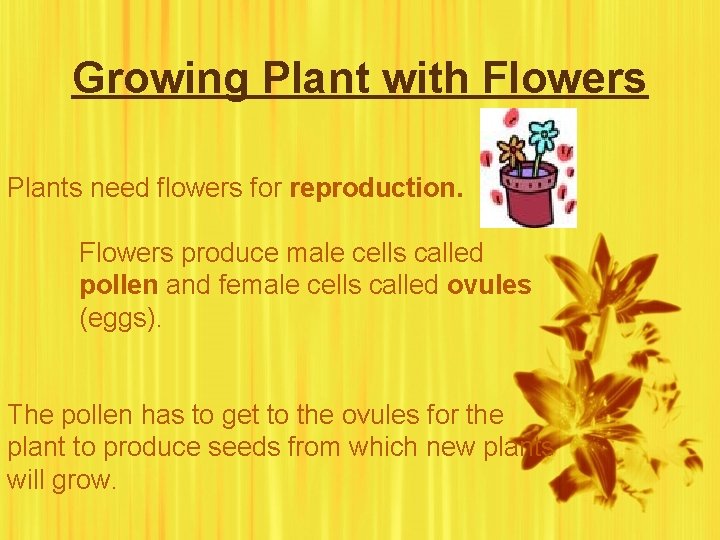 Growing Plant with Flowers Plants need flowers for reproduction. Flowers produce male cells called