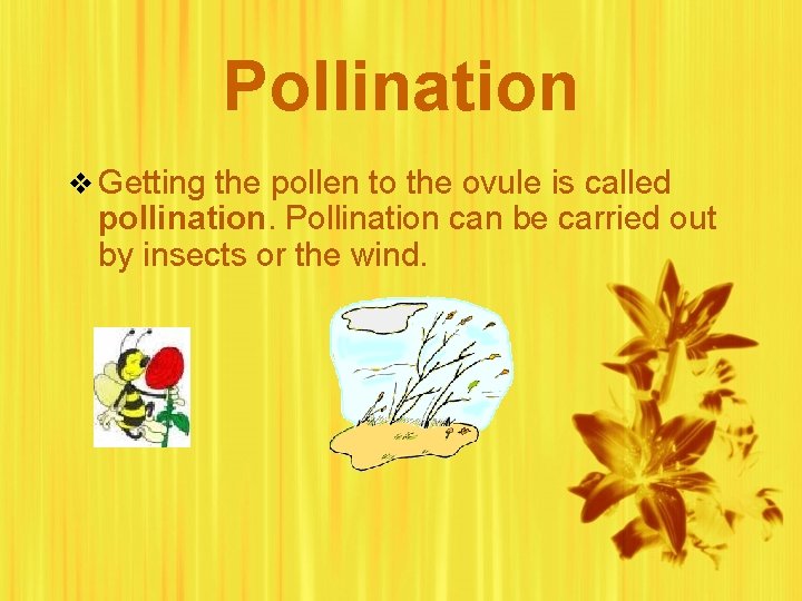 Pollination v Getting the pollen to the ovule is called pollination. Pollination can be
