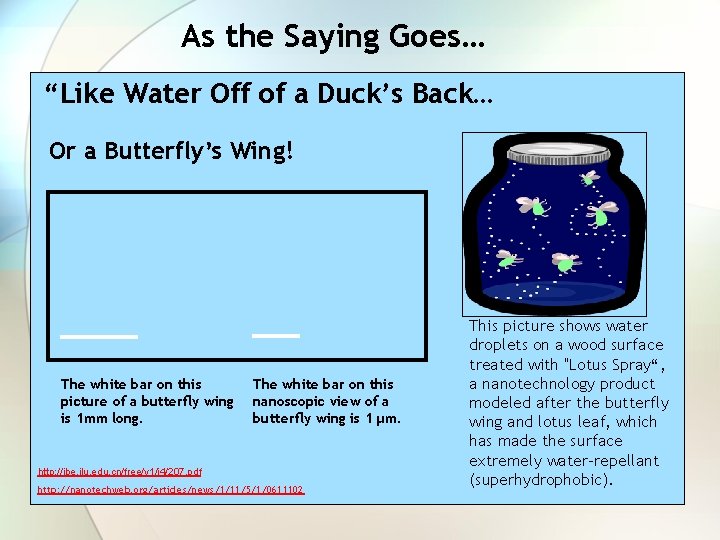 As the Saying Goes… “Like Water Off of a Duck’s Back… Or a Butterfly’s