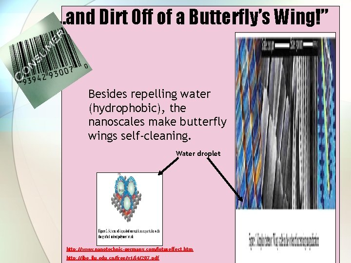 …and Dirt Off of a Butterfly’s Wing!” Besides repelling water (hydrophobic), the nanoscales make