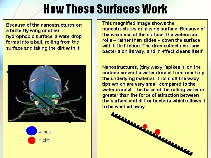 How These Surfaces Work Because of the nanostructures on a butterfly wing or other