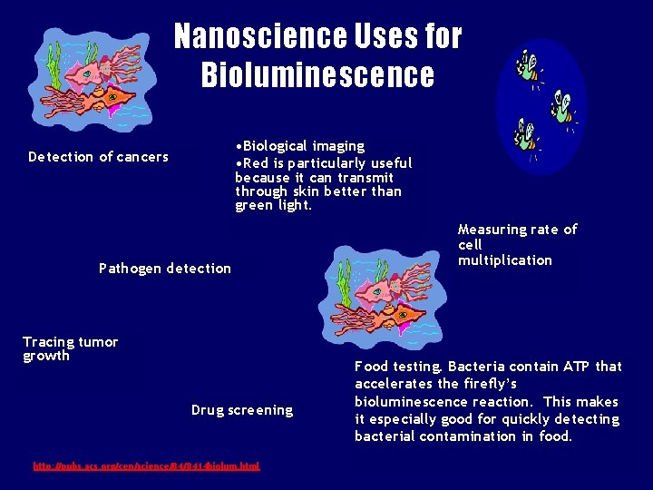Nanoscience Uses for Bioluminescence • Biological imaging • Red is particularly useful because it
