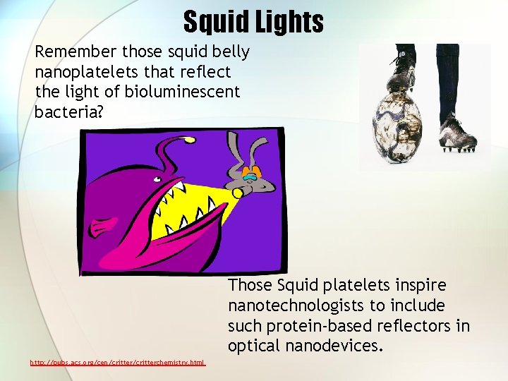 Squid Lights Remember those squid belly nanoplatelets that reflect the light of bioluminescent bacteria?